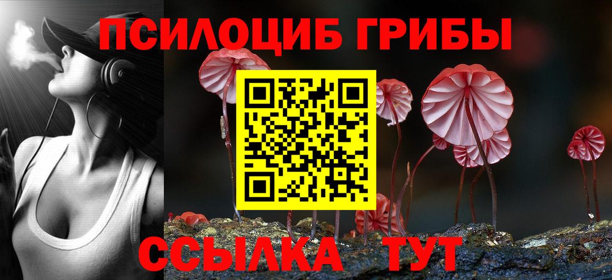 цены   Вход с VPN  Коркино  Псилоцибиновые грибы мухоморы 